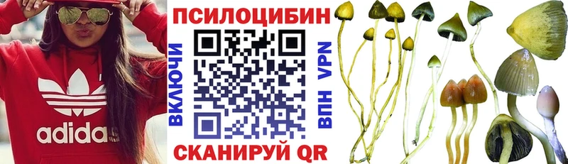Псилоцибиновые грибы GOLDEN TEACHER ОМГ ОМГ зеркало Новотроицк